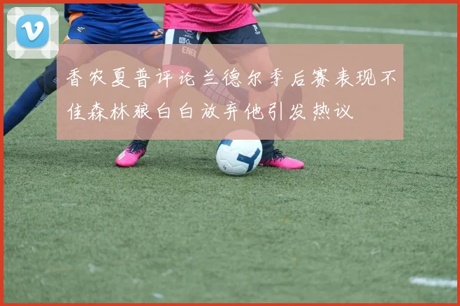 香农夏普评论兰德尔季后赛表现不佳森林狼白白放弃他引发热议